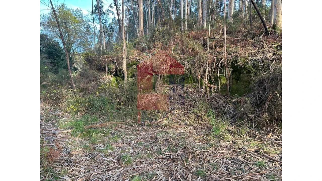 Terreno para Venda em Marrancos e Arcozelo Foto 12