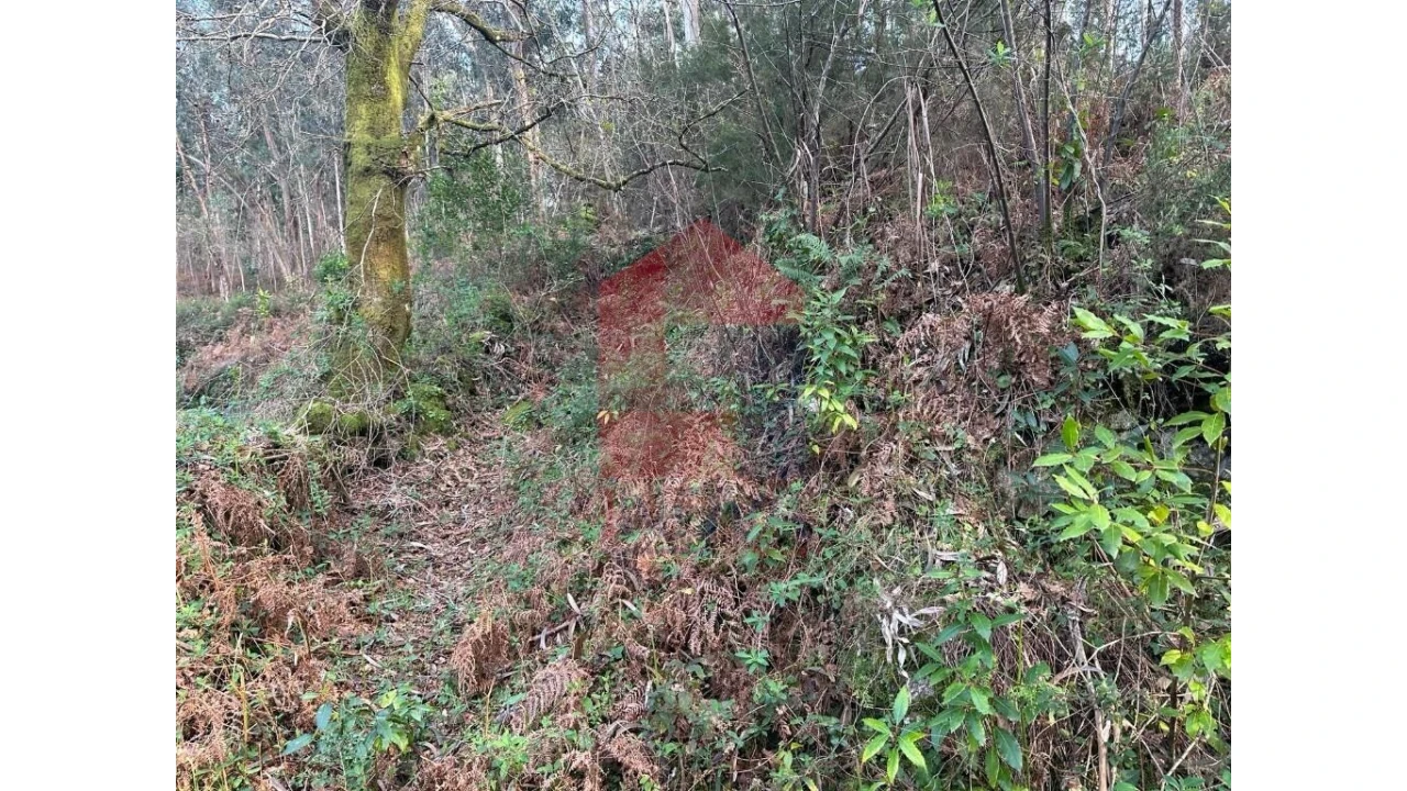 Terreno para Venda em Marrancos e Arcozelo Foto 15