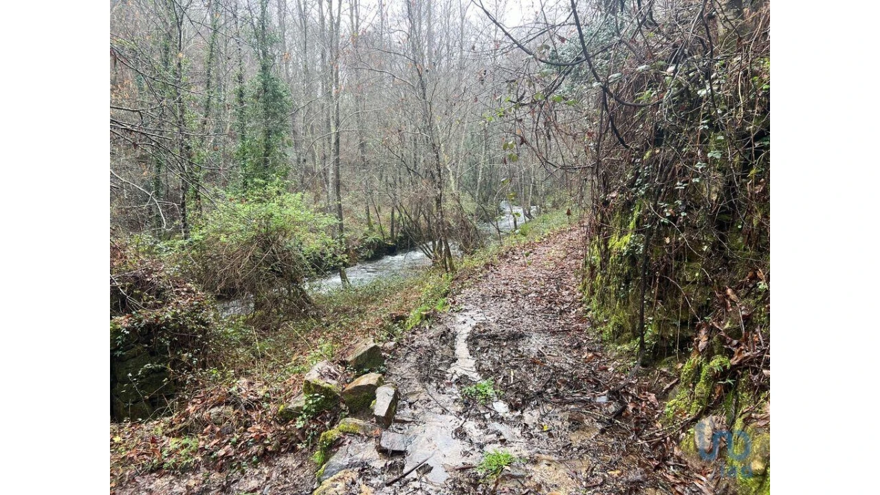 Terreno para Venda em São Felix Foto 5