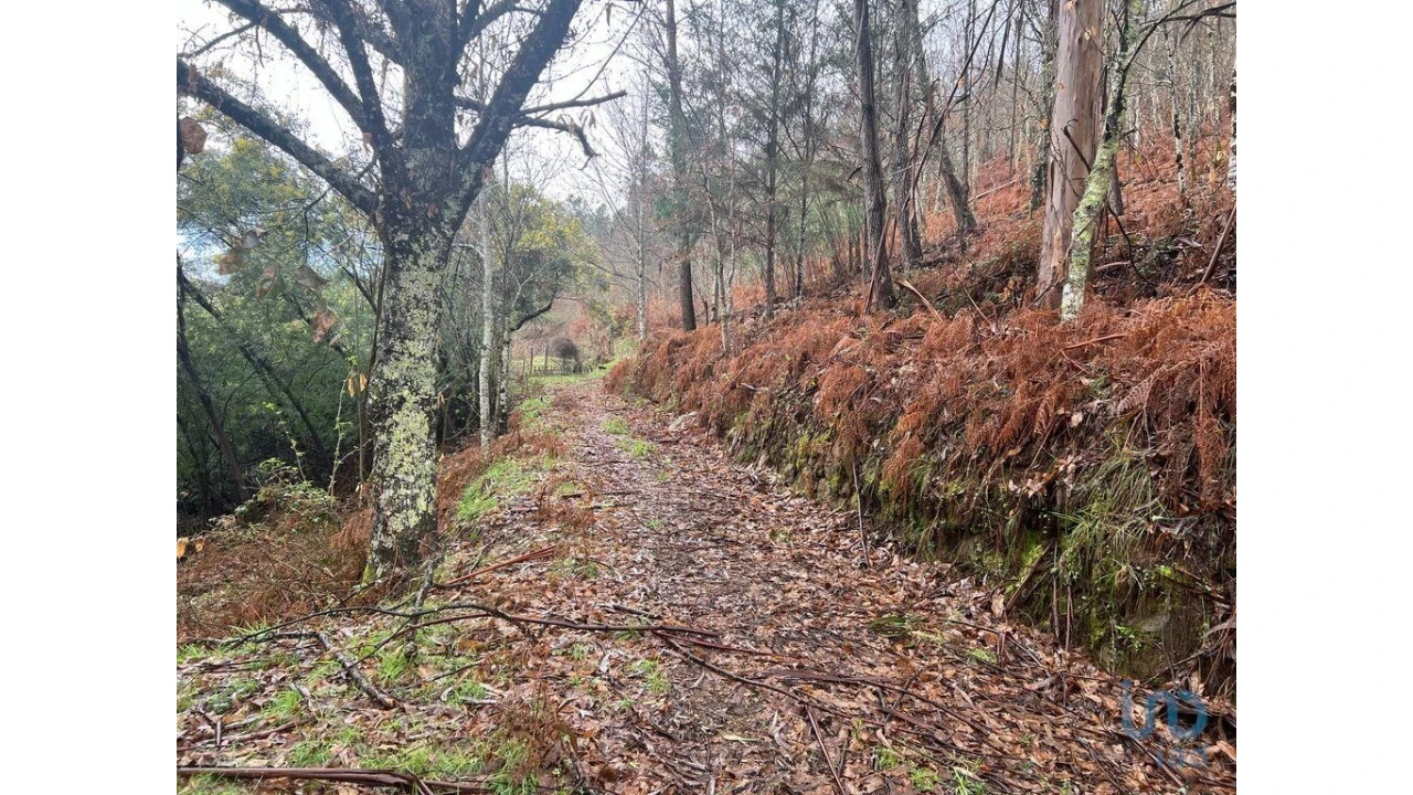 Terreno para Venda em São Felix Foto 2