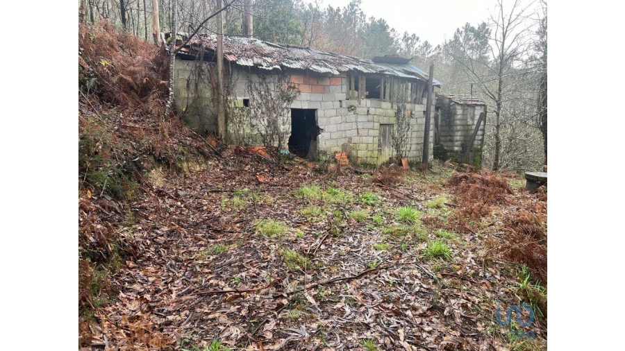 Terreno para Venda em São Felix