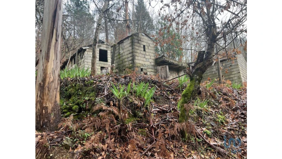 Terreno para Venda em São Felix Foto 3
