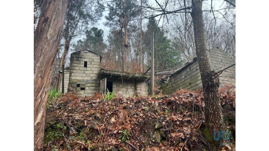 Terreno para Venda em São Felix Foto 4