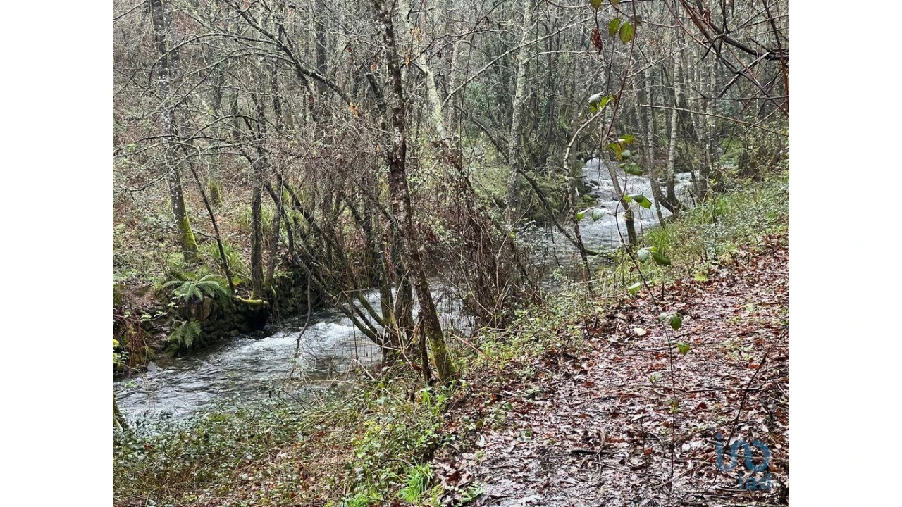 Terreno para Venda em São Felix Foto 7