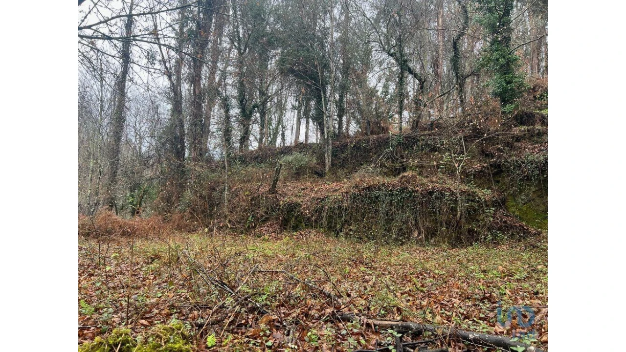 Terreno para Venda em São Felix Foto 6