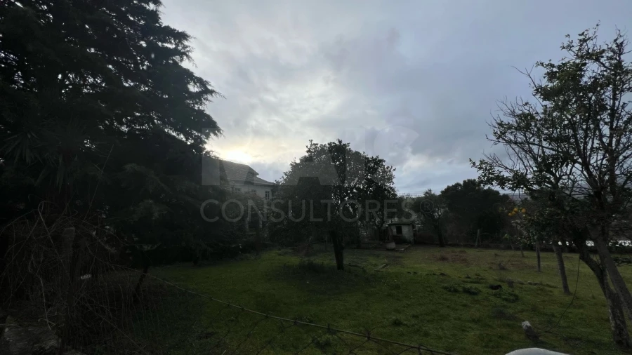 Quinta para Venda em Bem Viver Foto 2