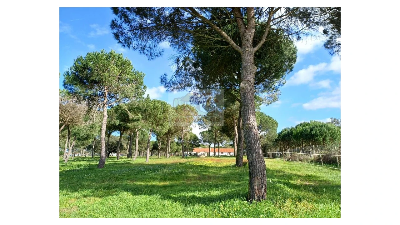 Quinta T4 para Venda em Grândola e Santa Margarida da Serra Foto 3