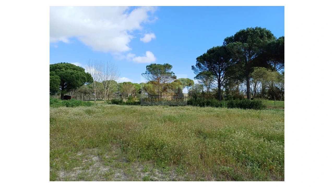 Quinta T4 para Venda em Grândola e Santa Margarida da Serra Foto 5