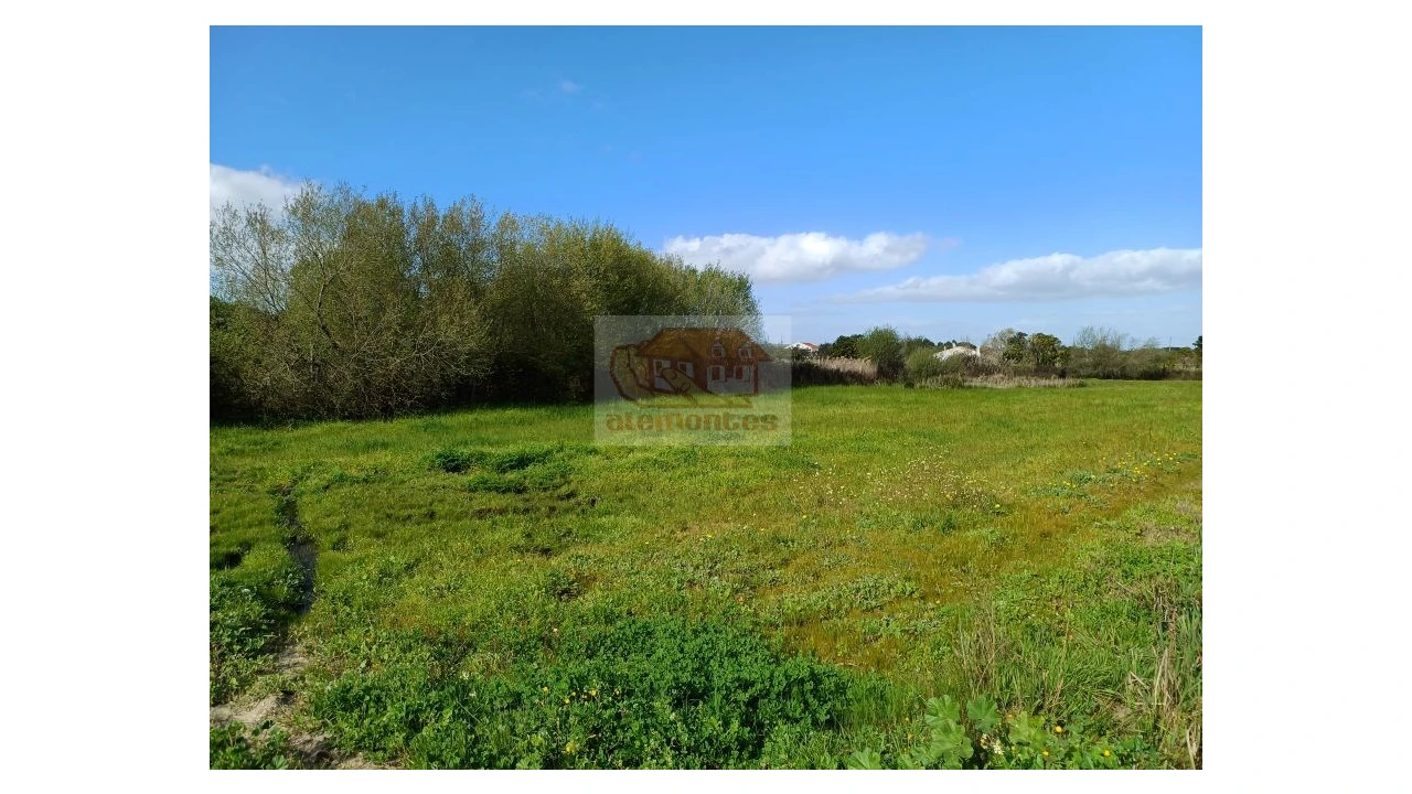 Quinta T4 para Venda em Grândola e Santa Margarida da Serra Foto 9