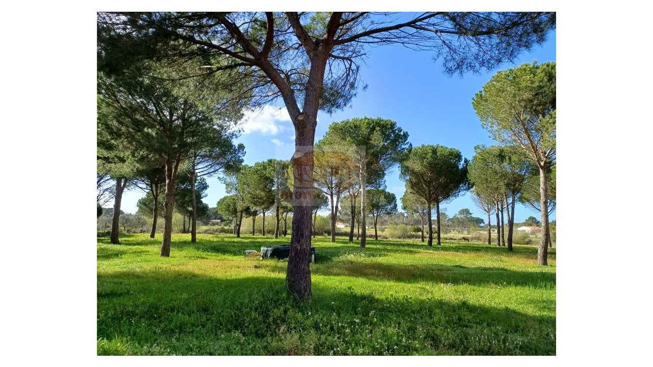 Quinta T4 para Venda em Grândola e Santa Margarida da Serra Foto 11