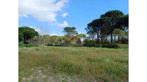 Quinta T4 para Venda em Grândola e Santa Margarida da Serra