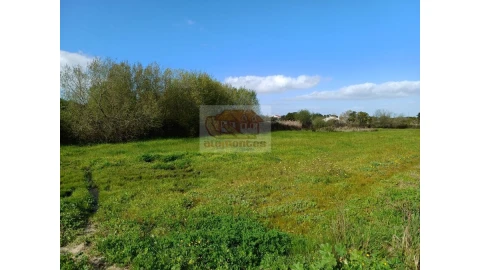 Quinta T4 para Venda em Grândola e Santa Margarida da Serra