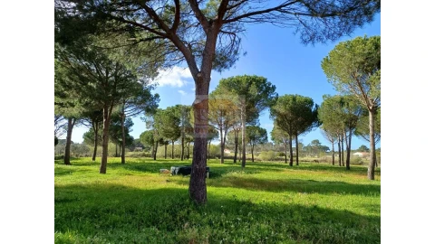 Quinta T4 para Venda em Grândola e Santa Margarida da Serra
