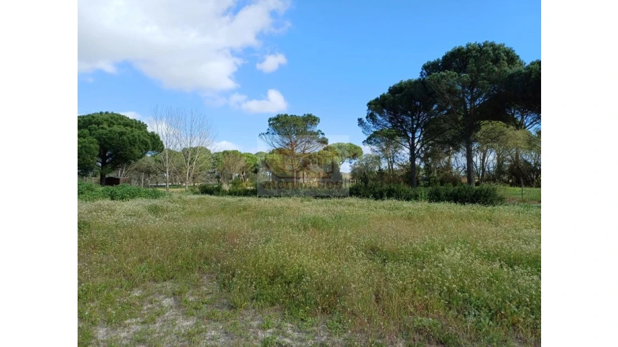 Quinta T4 para Venda em Grândola e Santa Margarida da Serra Foto 5