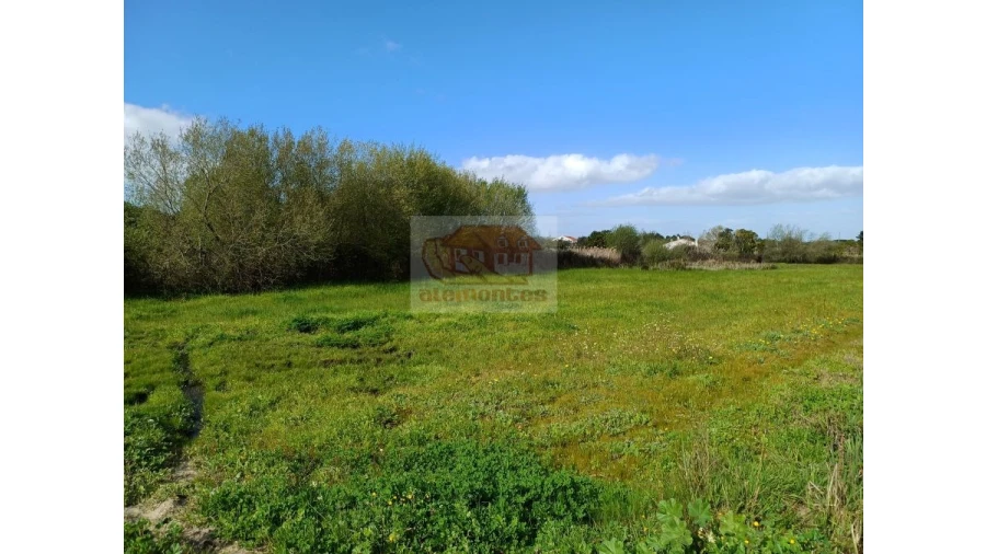 Quinta T4 para Venda em Grândola e Santa Margarida da Serra Foto 9