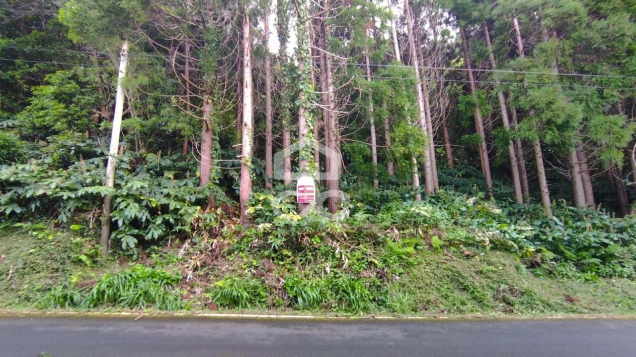 Terreno para Venda em São Roque do Pico Foto 10