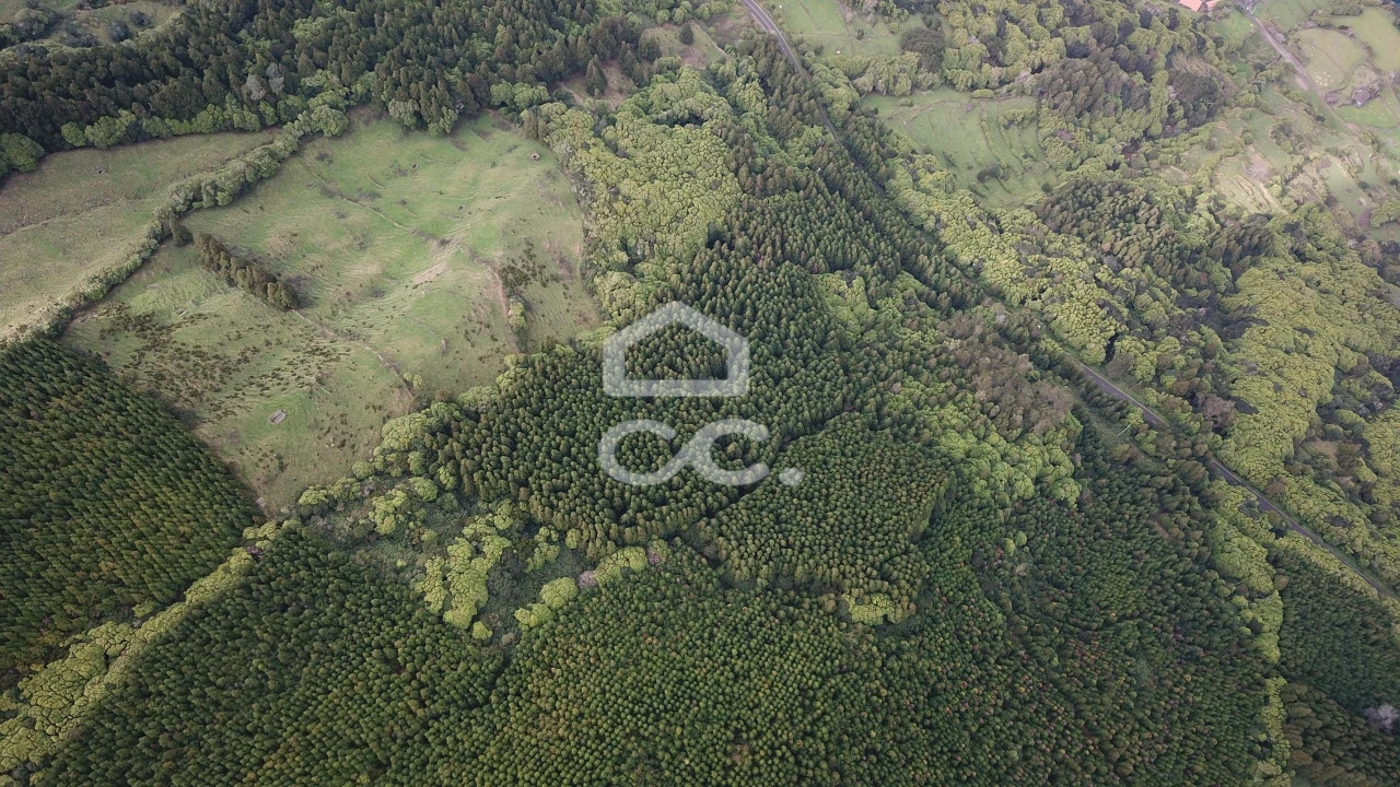 Terreno para Venda em São Roque do Pico Foto 9