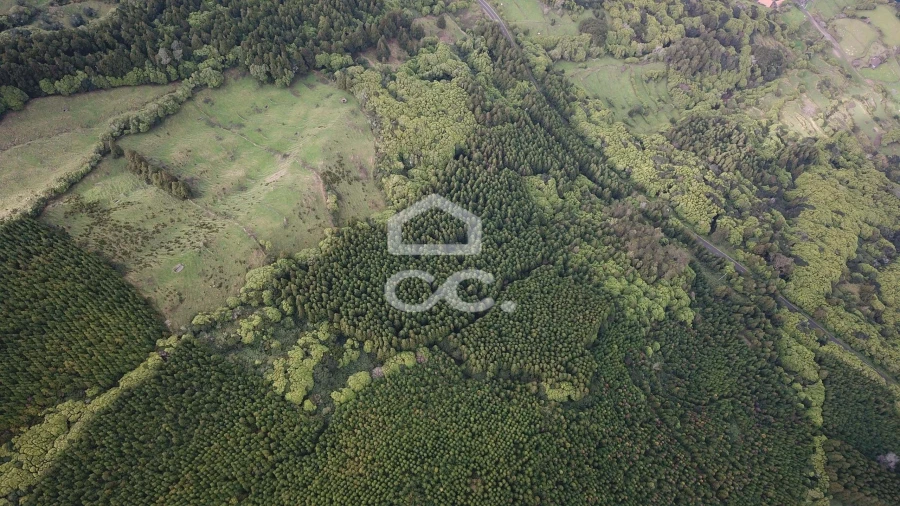 Terreno para Venda em São Roque do Pico Foto 9
