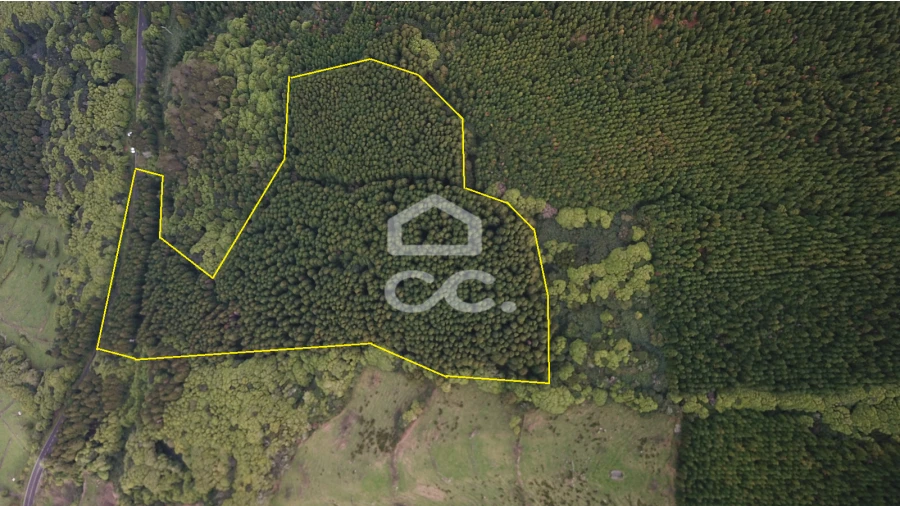 Terreno para Venda em São Roque do Pico Foto 3