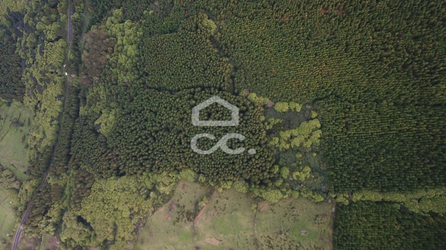 Terreno para Venda em São Roque do Pico Foto 8