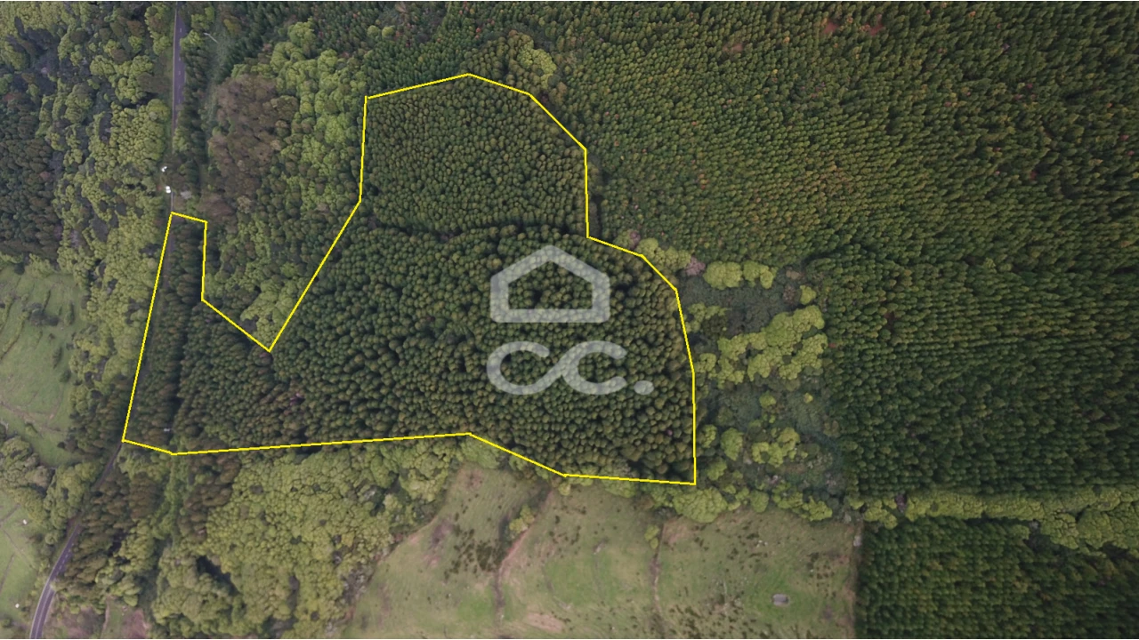 Terreno para Venda em São Roque do Pico Foto 3