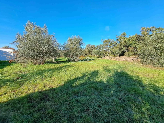 Moradia T3 para Venda em Chãos Foto 5