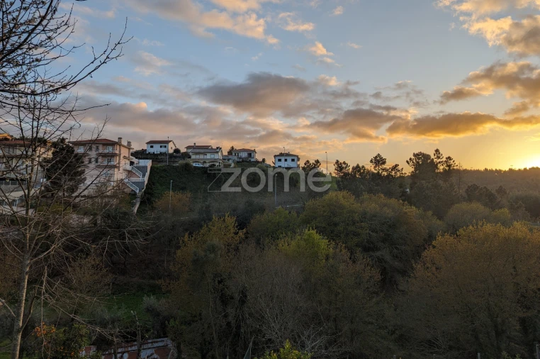 Terreno para Venda em Raiva, Pedorido e Paraíso Foto 9