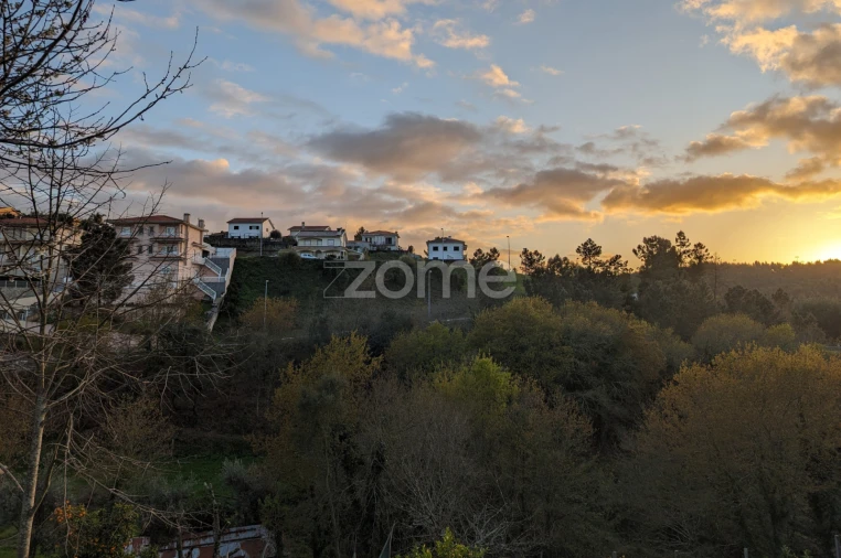 Terreno para Venda em Raiva, Pedorido e Paraíso Foto 9
