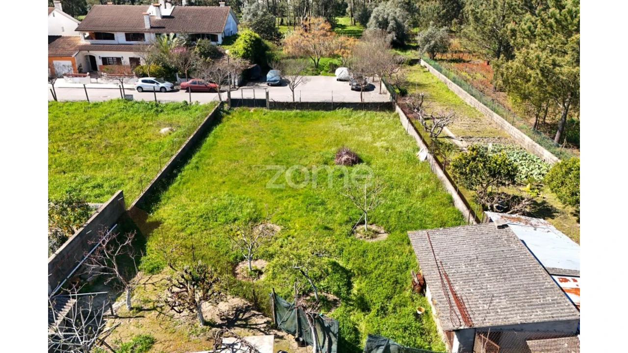Terreno para Venda em Cantanhede e Pocariça Foto 6