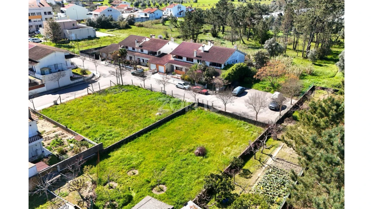 Terreno para Venda em Cantanhede e Pocariça Foto 8