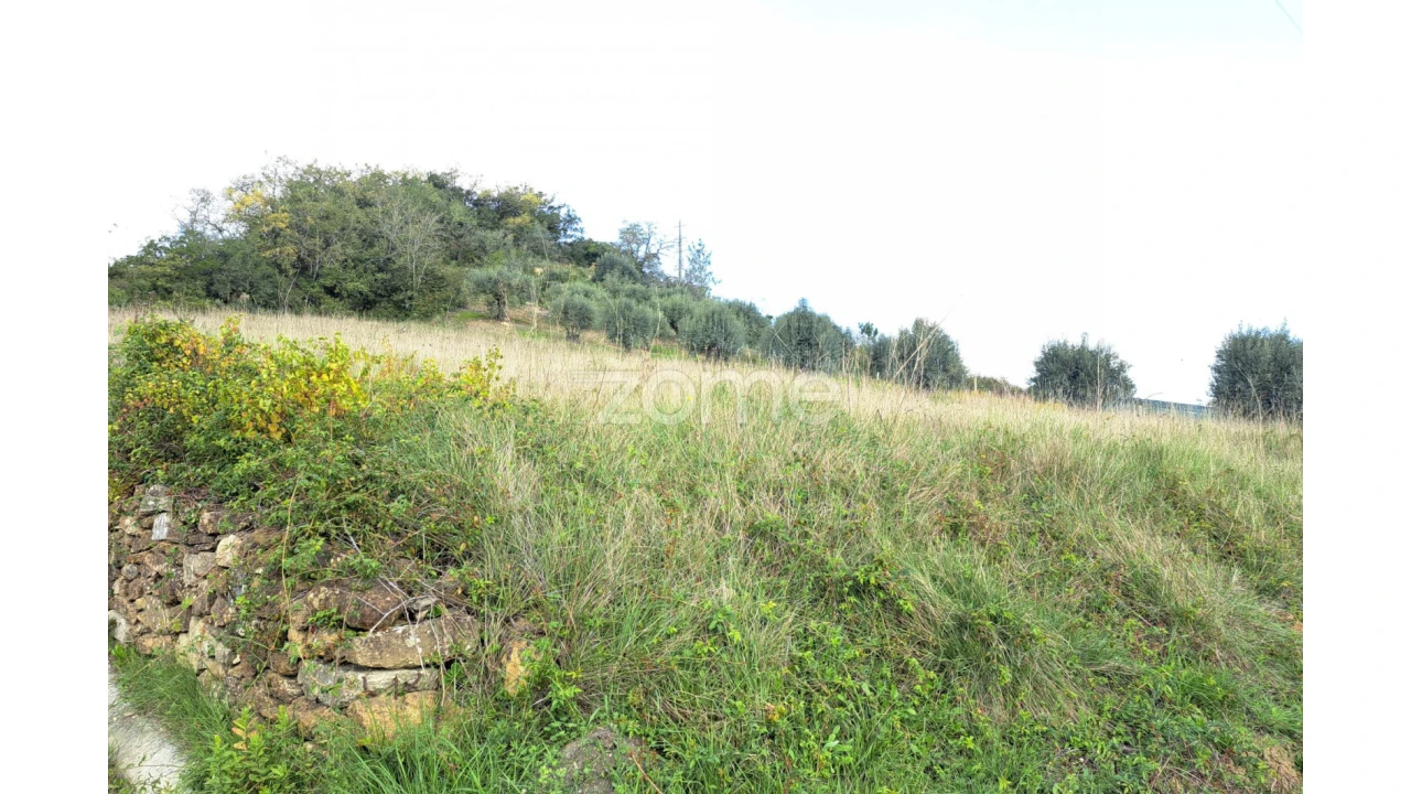 Terreno para Venda em Batalha Foto 15
