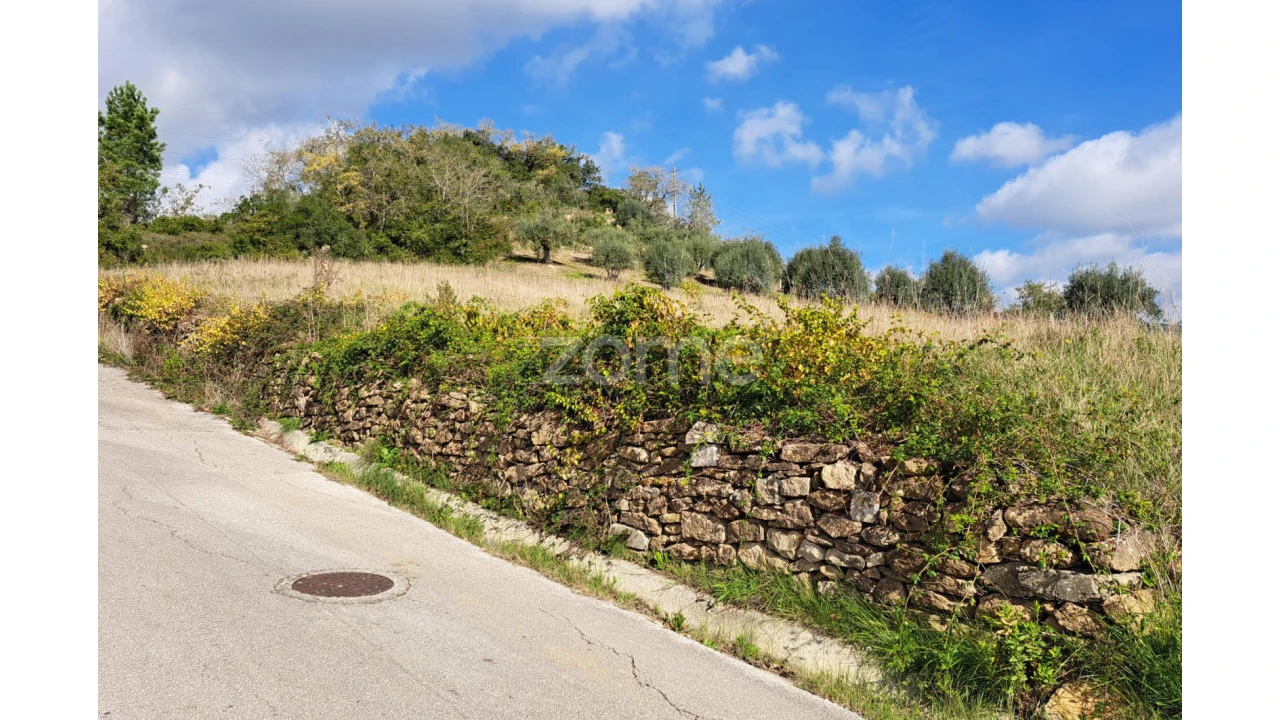 Terreno para Venda em Batalha Foto 4