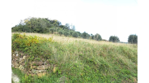 Terreno para Venda em Batalha