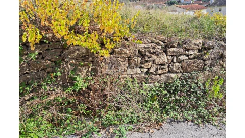 Terreno para Venda em Batalha