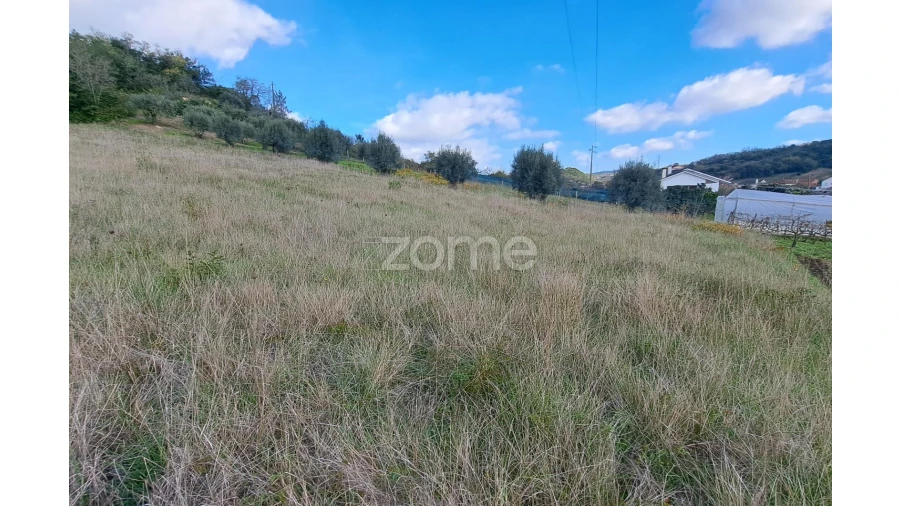 Terreno para Venda em Batalha Foto 13