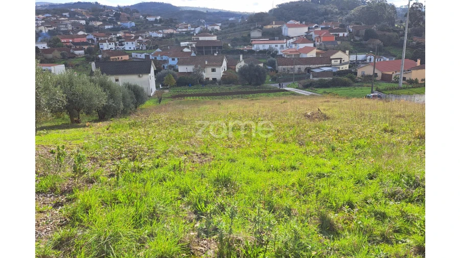 Terreno para Venda em Batalha Foto 7
