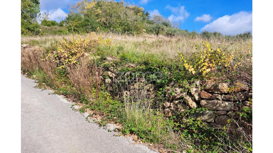 Terreno para Venda em Batalha Foto 2