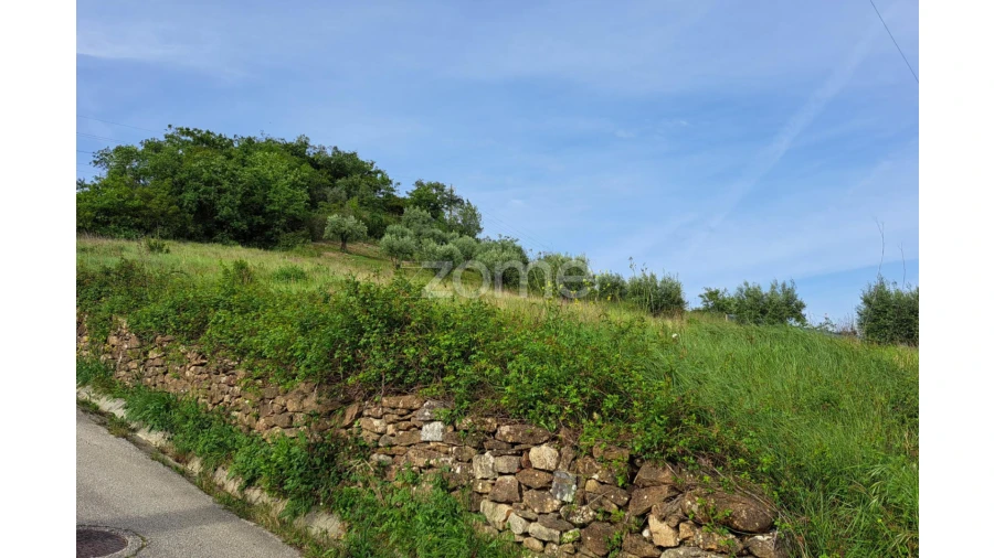Terreno para Venda em Batalha Foto 23