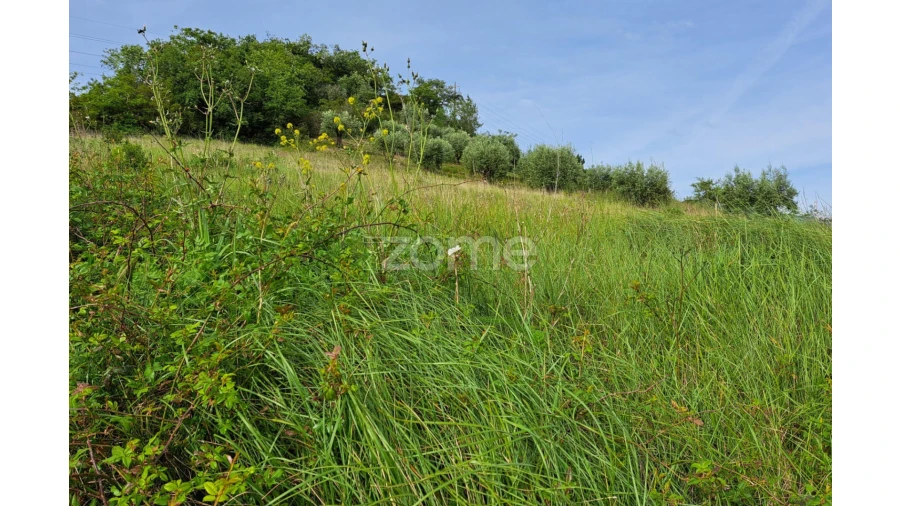 Terreno para Venda em Batalha Foto 22