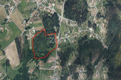 Terreno para Venda em Geraz do Lima (Santa Maria, Santa Leocádia, Moreira), Deão