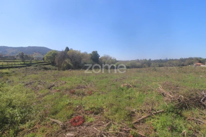Terreno para Venda em Geraz do Lima (Santa Maria, Santa Leocádia, Moreira), Deão