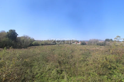 Terreno para Venda em Geraz do Lima (Santa Maria, Santa Leocádia, Moreira), Deão