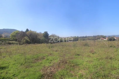 Terreno para Venda em Geraz do Lima (Santa Maria, Santa Leocádia, Moreira), Deão
