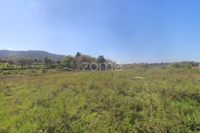 Terreno para Venda em Geraz do Lima (Santa Maria, Santa Leocádia, Moreira), Deão