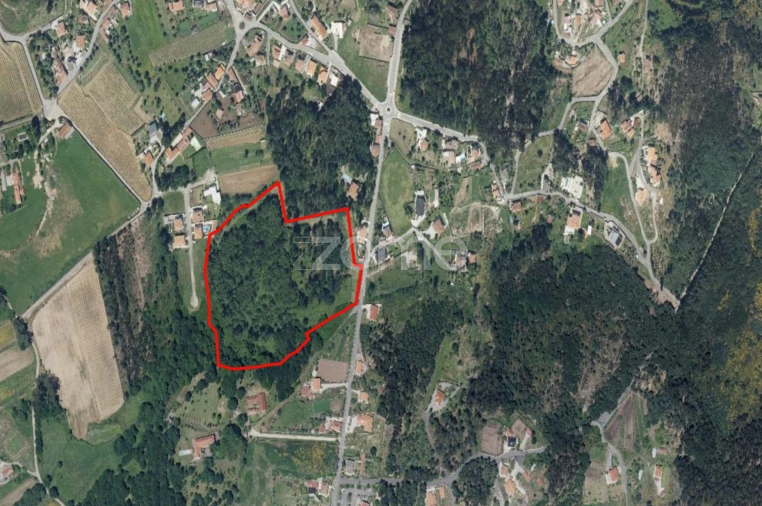 Terreno para Venda em Geraz do Lima (Santa Maria, Santa Leocádia, Moreira), Deão Foto 15