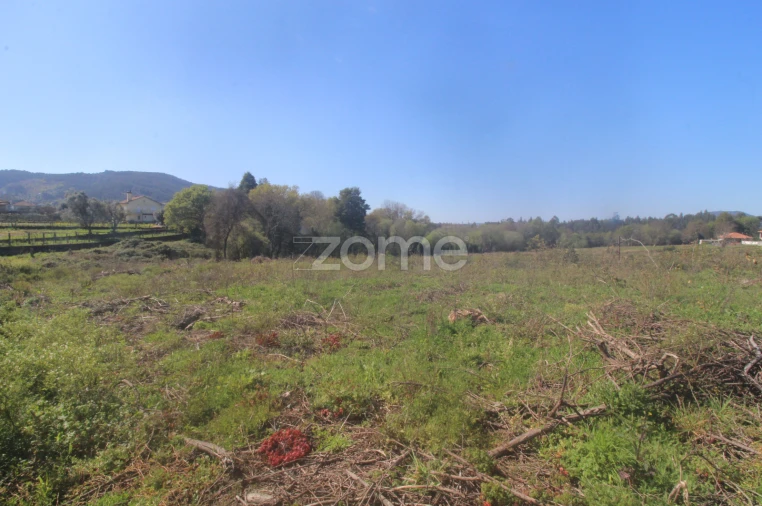 Terreno para Venda em Geraz do Lima (Santa Maria, Santa Leocádia, Moreira), Deão Foto 7