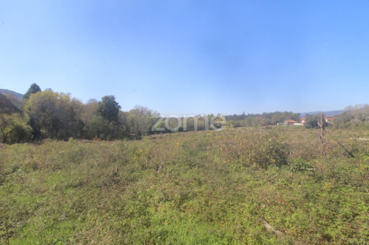 Terreno para Venda em Geraz do Lima (Santa Maria, Santa Leocádia, Moreira), Deão Foto 8