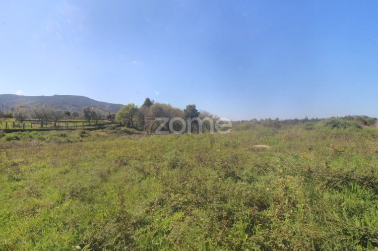 Terreno para Venda em Geraz do Lima (Santa Maria, Santa Leocádia, Moreira), Deão Foto 12