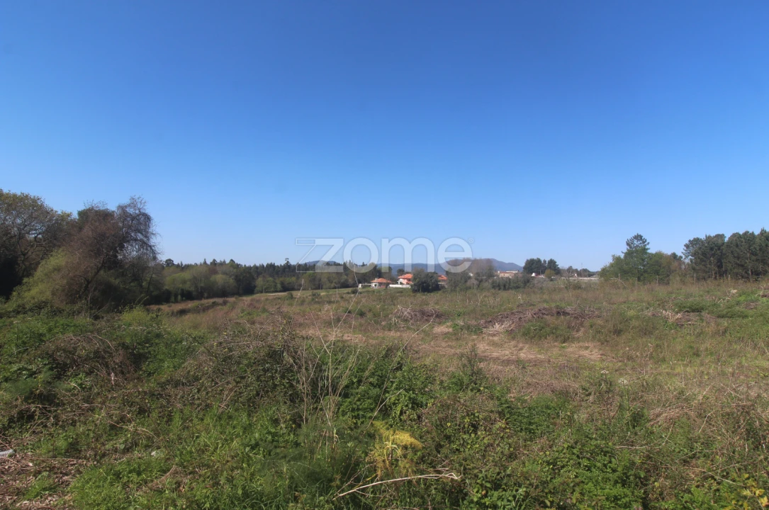 Terreno para Venda em Geraz do Lima (Santa Maria, Santa Leocádia, Moreira), Deão Foto 5