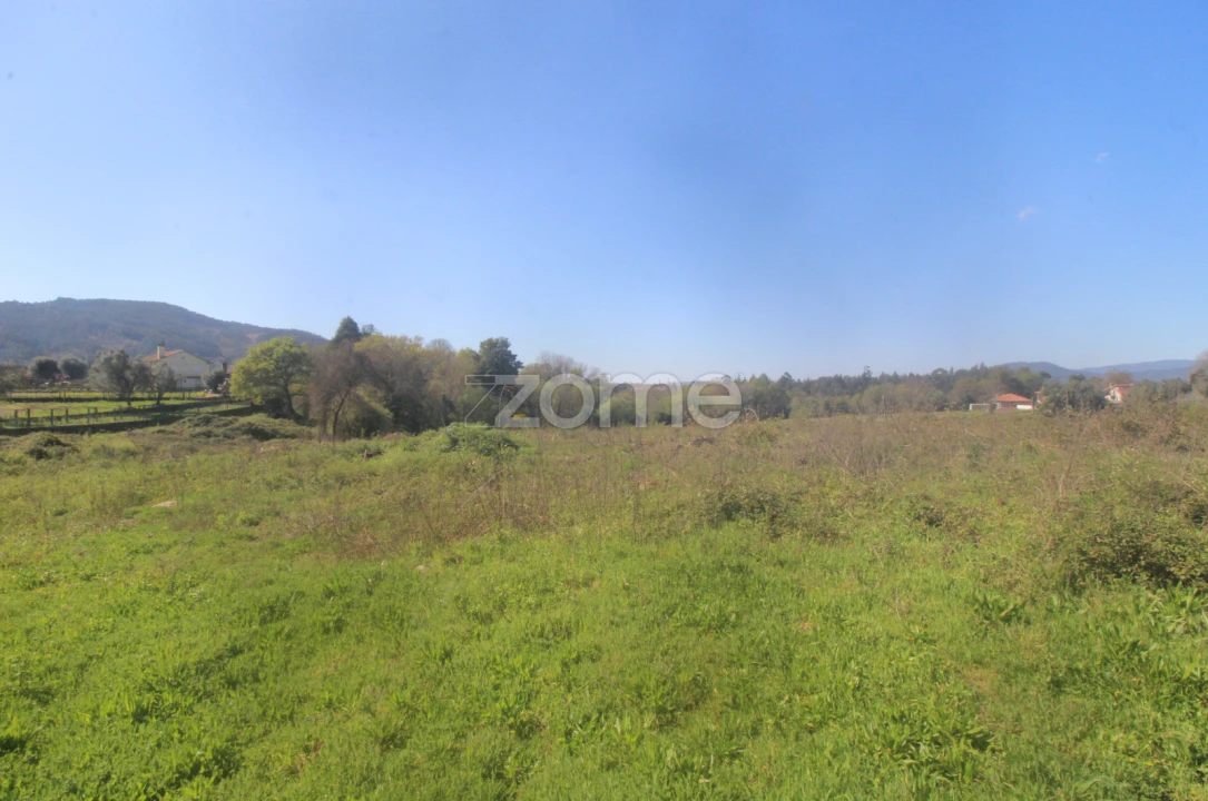 Terreno para Venda em Geraz do Lima (Santa Maria, Santa Leocádia, Moreira), Deão Foto 1